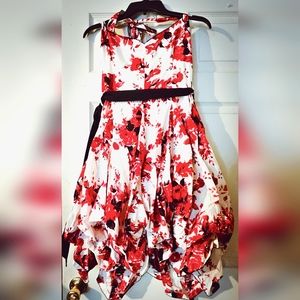 Women's Dress,Eucalyptus NWT, size L (UK sizing), cool red and white